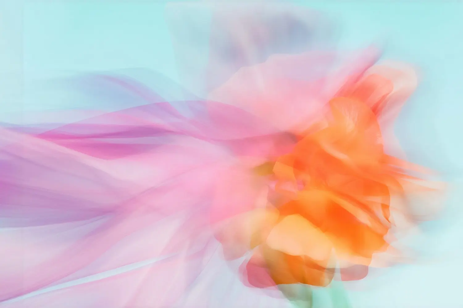Clash von Farbverläufen, Pink, Orange, Hellblau Clash von Farbverläufen, Pink, Orange, Hellblau