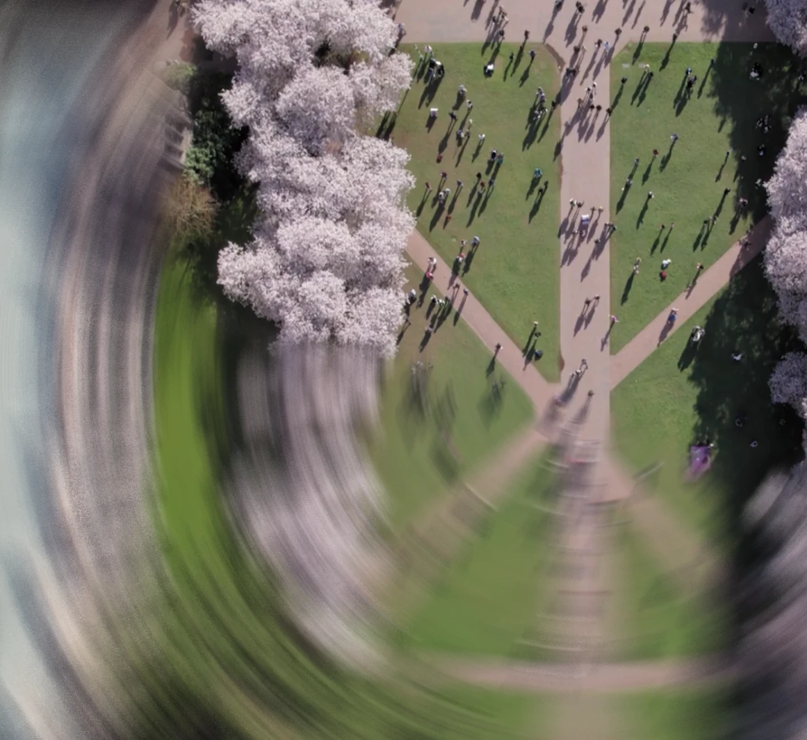 Ein Park aus der Vogelperspektive (Darstellung mit Motion Blur)